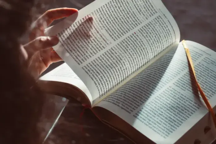 A Biblioteca Essencial: Livros de Gestão para ONGs e Projetos Sociais