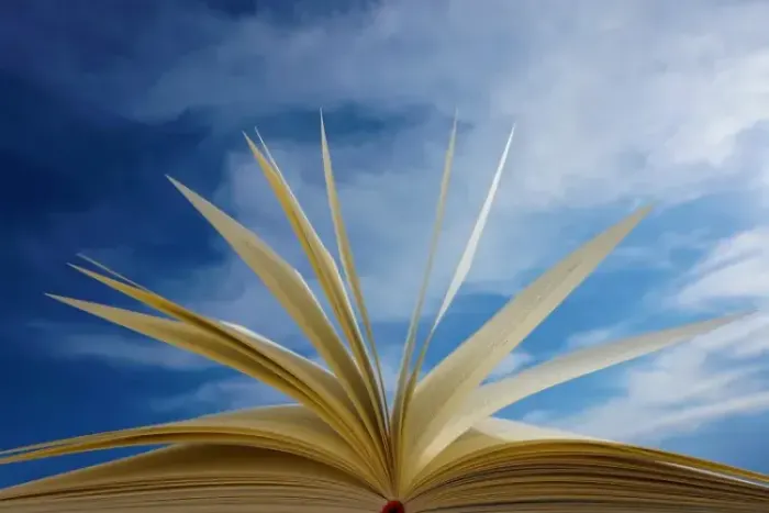 A Biblioteca do Líder Social: Livros que Inspiram a Mudança em 2025-2026
