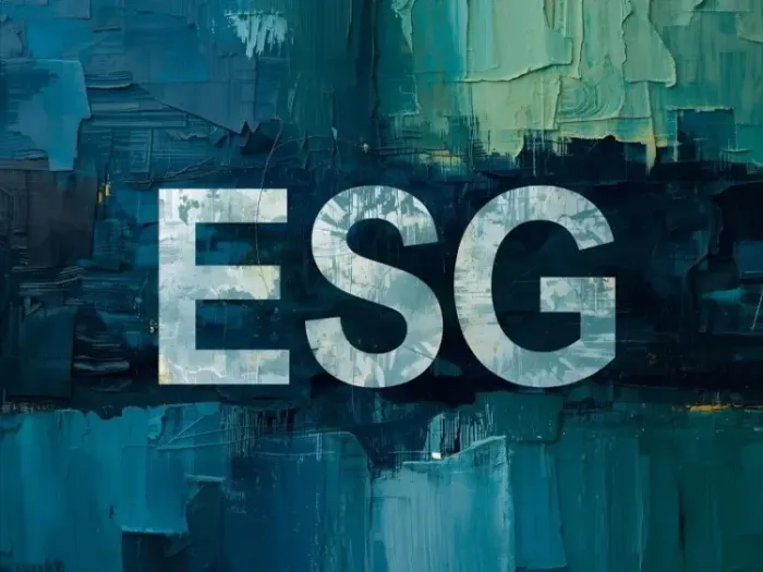 Como Implementar ESG em ONGs: Um guia prático para critérios sociais, de governança e ambientais