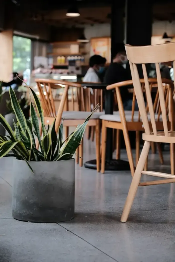 Crowdfunding para Causas Sociais: Capte Recursos e Inspire o Mundo!