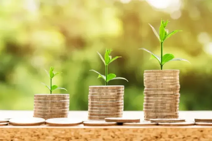 Financiamento Inteligente: Estratégias de Fundraising para ONGs Inovadoras
