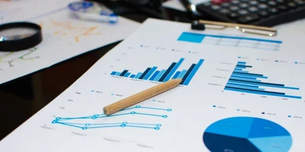 Gestão financeira transparente e eficiente na sua ONG