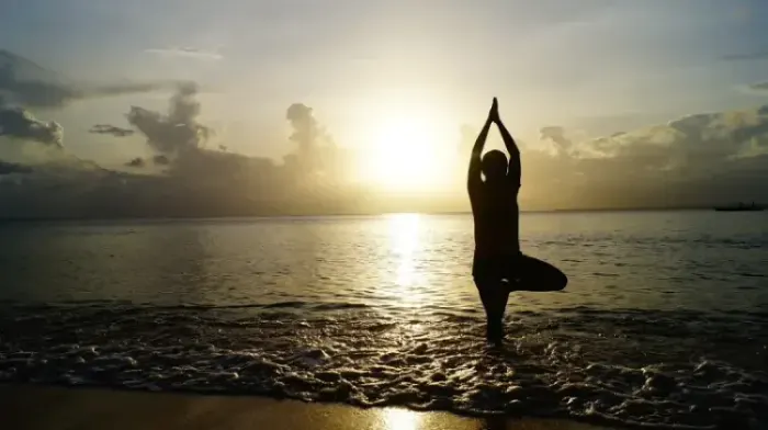 Mindfulness para Líderes Sociais: Cultivando Bem-Estar e Impacto