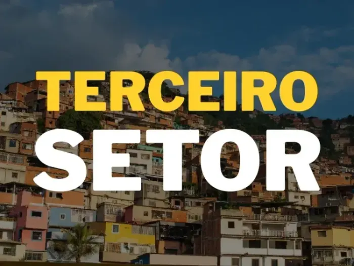 O Que é o Terceiro Setor? Entenda sua Importância para a Sociedade