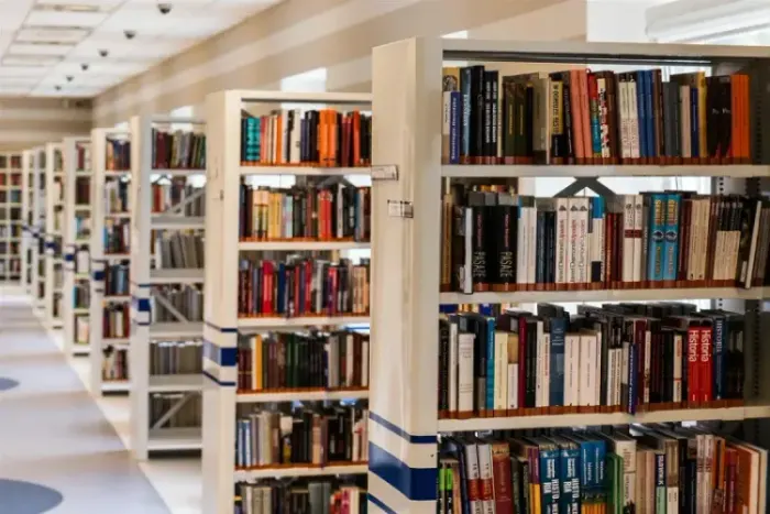 Pedagogias Inovadoras: Formando Líderes Sociais do Futuro