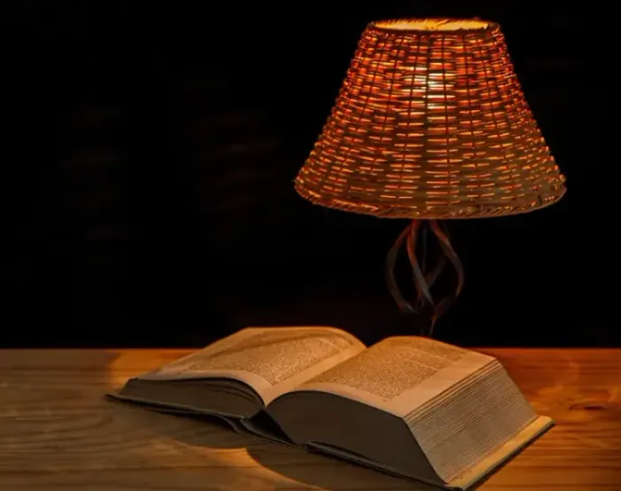 A prateleira do líder: Livros que transformam o impacto social