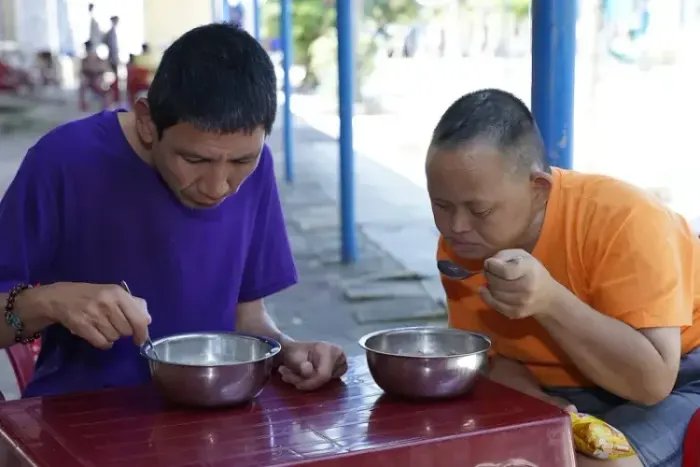 Programa de Voluntariado: Crie o Seu e Transforme Vidas!