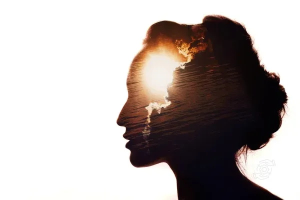 Liderança: A inteligência emocional na formação do líder de sucesso