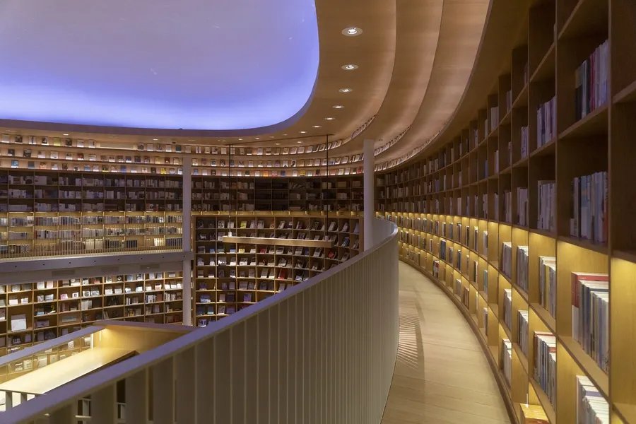 Nossa Curadoria: Livros Essenciais para o Empreendedor Social