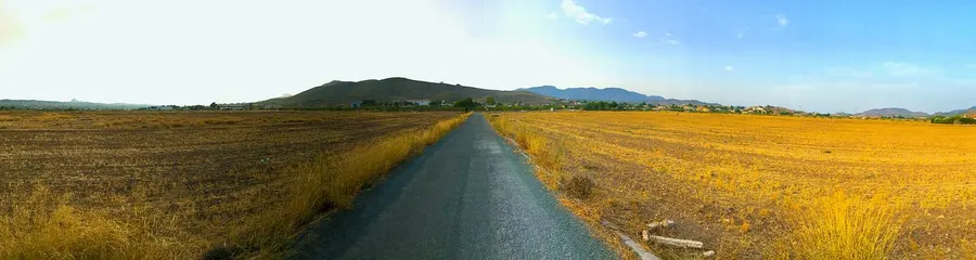 Panorama da Fome e Insegurança Alimentar no Brasil e no Mundo